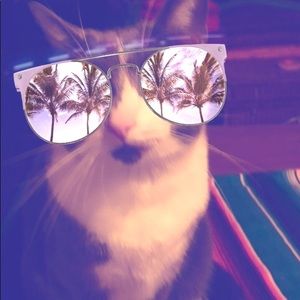 Meet your Posher, Morgan